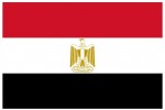 فتح فرع للأكاديمية في مصر العربية